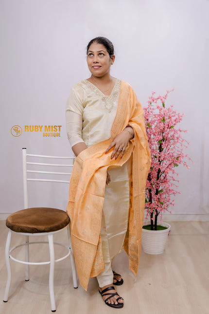 Pearl Worked Party Wear Churidhar Set.