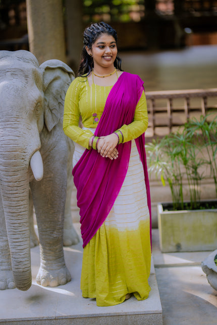 VAADAMALLI DHAVANI SET